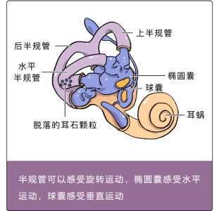 坐车一看手机就晕？赶紧试试这些办法