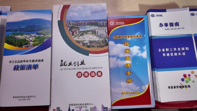 孝昌：服务下沉“接地气” 就业社保“暖民心”