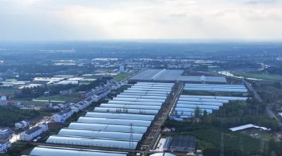 孝昌陡山：干群同心扮靓家园 绘就和美乡村新图景