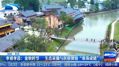 孝昌：金秋时节 生态采摘与民俗体验“串珠成链”