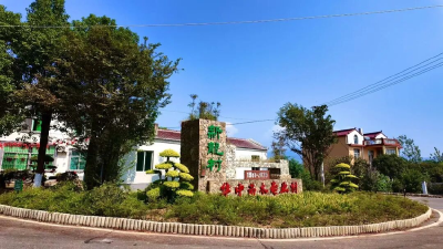 孝感孝昌：一方庭院满园苗木 诗意栖居点“绿”成金