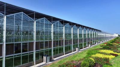 走，去孝昌赶个好物集！“旺宝”的宝藏地图上，藏了什么好玩的？