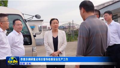 李惠芬调研重点项目督导检查安全生产工作
