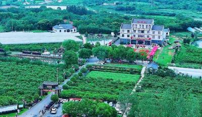 从“零散种植”到“省级优质”：孝昌“七仙红桃”的升级路