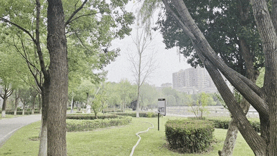 吓人！官塘湖公园吊着个篮球大的…消防紧急出动