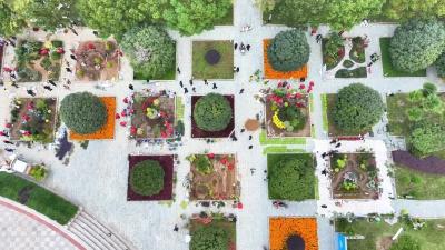 这园艺，写进诗里！ 