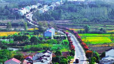 新晋打卡路 “畅安舒美”游孝昌