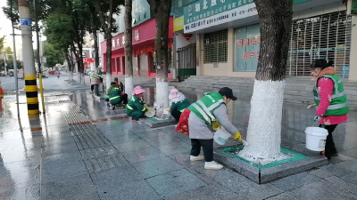 孝昌：冬日“刷白”护绿忙 为树木量身定制“越冬防护盾”