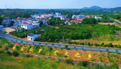 强堡垒 建机制 增动能 孝昌推进农业产业链党组织建设