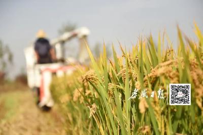 今日立冬！秋尽冬始，万物收藏