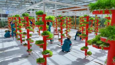 孝感孝昌：百企兴百村  激活乡村振兴新动能