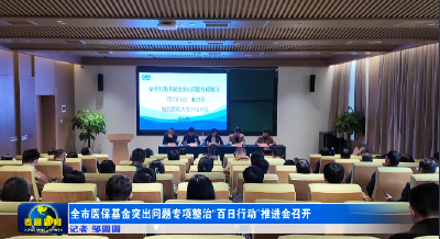 全市医保基金突出问题专项整治“百日行动”推进会召开