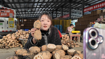 孝感孝昌：云端助农直播 让乡货变香货