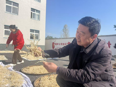 暖冬双味韵古驿 孝昌白沙镇豆丝萝卜条香飘乡野