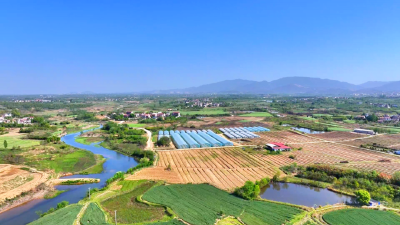 孝感孝昌：90后“新农人”返乡创业  生态果园结出“致富果”