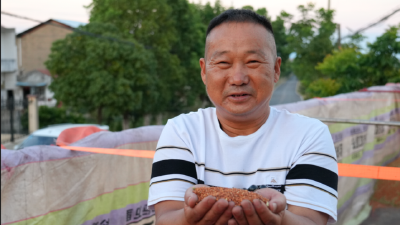 跨界拓荒 孝昌新农人带2000农户筑“致富田”