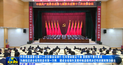 中共孝昌县委七届十二次全体会议举行
