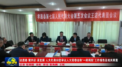 谈思路 聚共识 谋发展 人大代表分团审议人大常委会和“一府两院”工作报告及相关草案