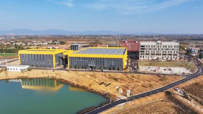 “富锌太子稻”C位出道！孝昌华锌现代农业产业园正式运营 