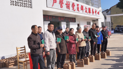 孝感孝昌：“小户区”撬动乡村“大治理”