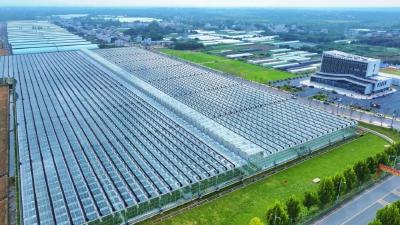 孝感孝昌：智慧农业尽显科技范 机器人当上解说员