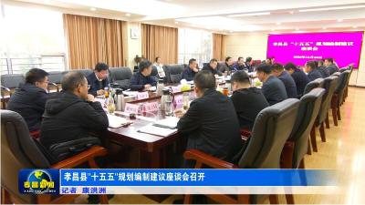 孝昌县“十五五”规划编制建议座谈会召开