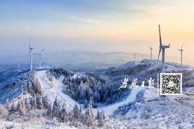 今日大雪！愿你心怀暖阳，不惧霜寒