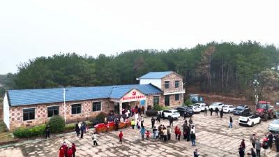 冬至磨山行：红色足迹串起文旅融合新体验