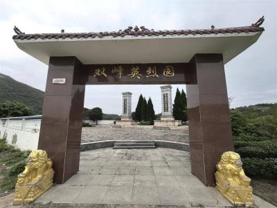 一棵“英雄树”化作漫山林 张玉清烈士故里崛起20亿元苗木茶园