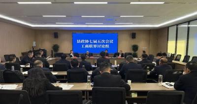 建言献策 共谱新篇 政协委员开展分组讨论 