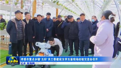 孝感市重点乡镇“五好”关工委建设互学互鉴现场经验交流会召开