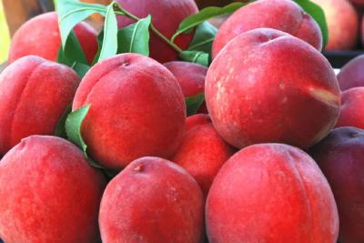 清廉孝昌·实践成果展⑧丨孝昌丰山：小桃子成就大产业 清廉风护航富民路