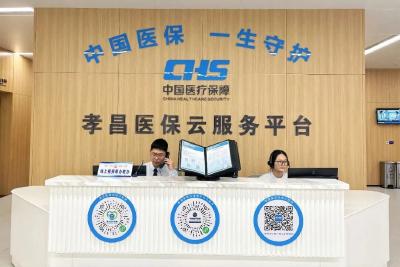 云见面，零跑腿！孝昌“医保云”把服务送到家