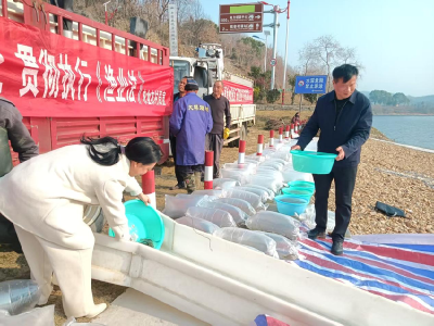 孝昌观音湖旅游区：碧水润苗种 生态续新篇