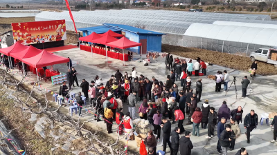 孝感孝昌：土味足 年味浓 “一站式”年货节让乡村“热”起来