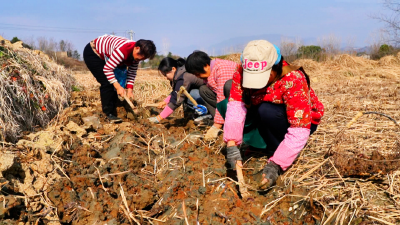 这一口“冬日清甜”上市了，孝昌人都超爱吃！
