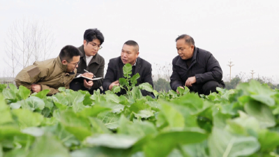 劳模刘继民：匠心传薪火 科创助振兴 