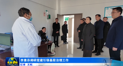 李惠芬调研党建引领基层治理工作
