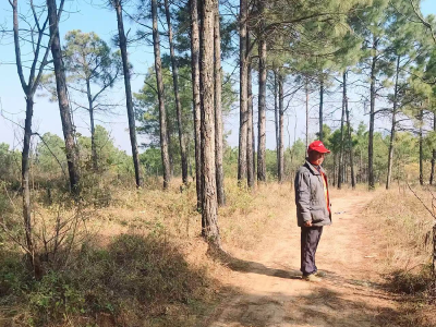 孝感孝昌：日夜不停歇  筑牢森林“防火墙”