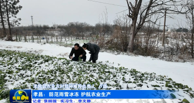 孝昌：防范雨雪冰冻 护航农业生产