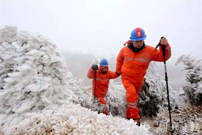 向海拔800米的孝昌观冰点挺进 电网守护者踏雪巡线保供电