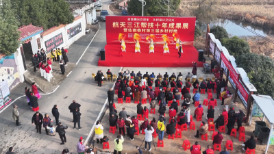 文艺演出送年味，便民服务暖人心！这儿的新春活动热闹又贴心