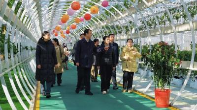 网络大V齐聚孝昌  以“新智新力”赋能县域发展