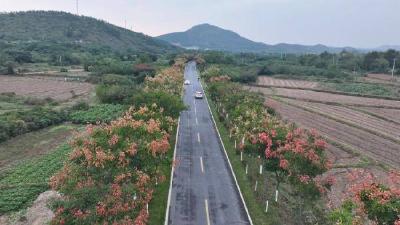 新春走基层｜孝爱之城春潮涌 实干铺就幸福路