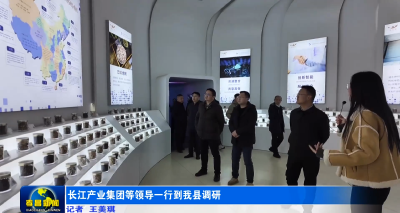 长江产业集团等领导一行到孝昌调研