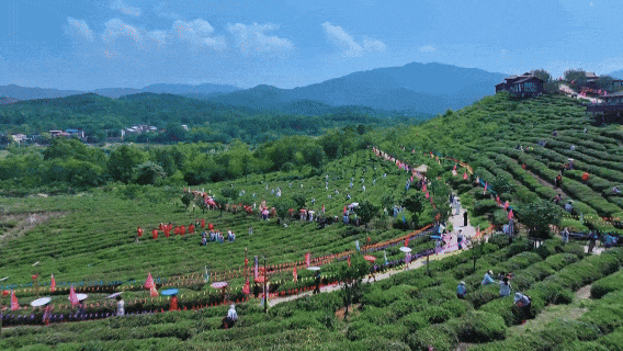 5公里内可充电！孝昌乡村充电桩全覆盖