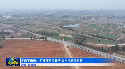 孝昌丰山：扩种桃树忙春耕 田间地头绘新景