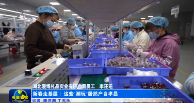 新春走基层｜这些“潮玩”居然产自孝昌？！