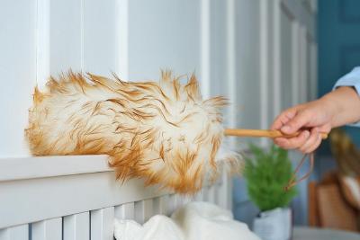 太危险！女子十几层高楼无防护擦玻璃 过年大扫除最全安全指南→