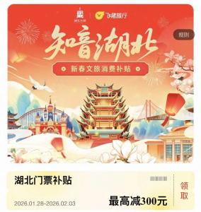 湖北新一轮消费券开抢！满600减300、满400减200…